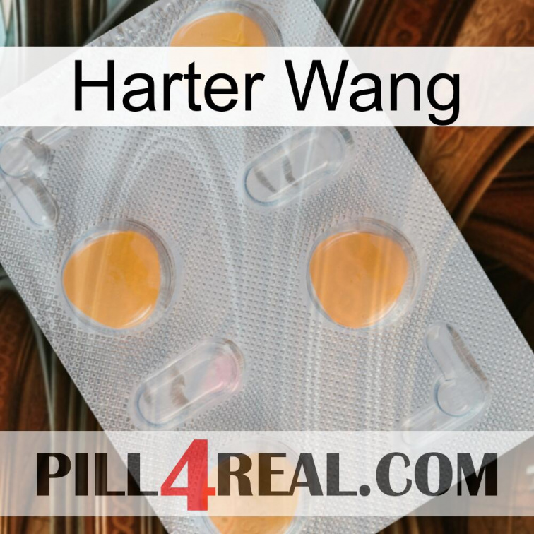Hard Wang 24